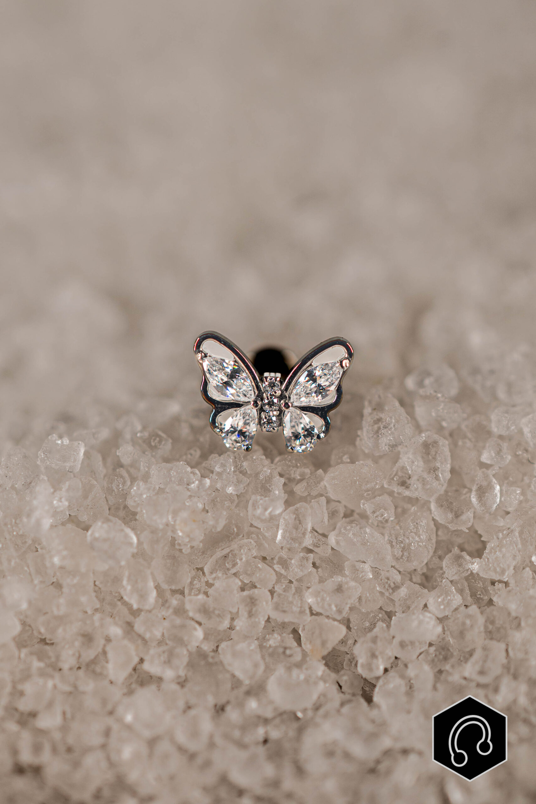 Labret Titane Argenté Aurelia Butterfly