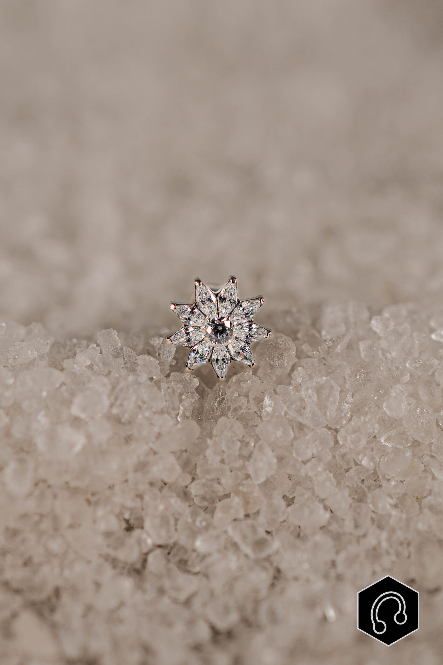 Labret Titane Argenté Solaris Bloom