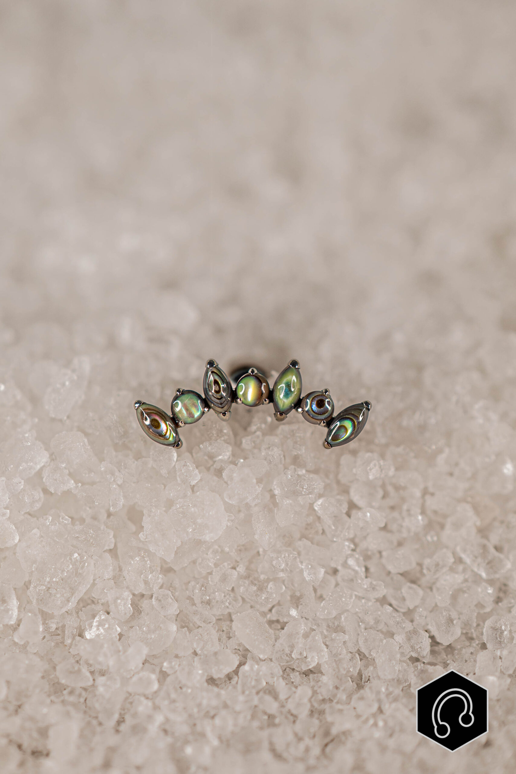 Labret Titane Argenté Abalone