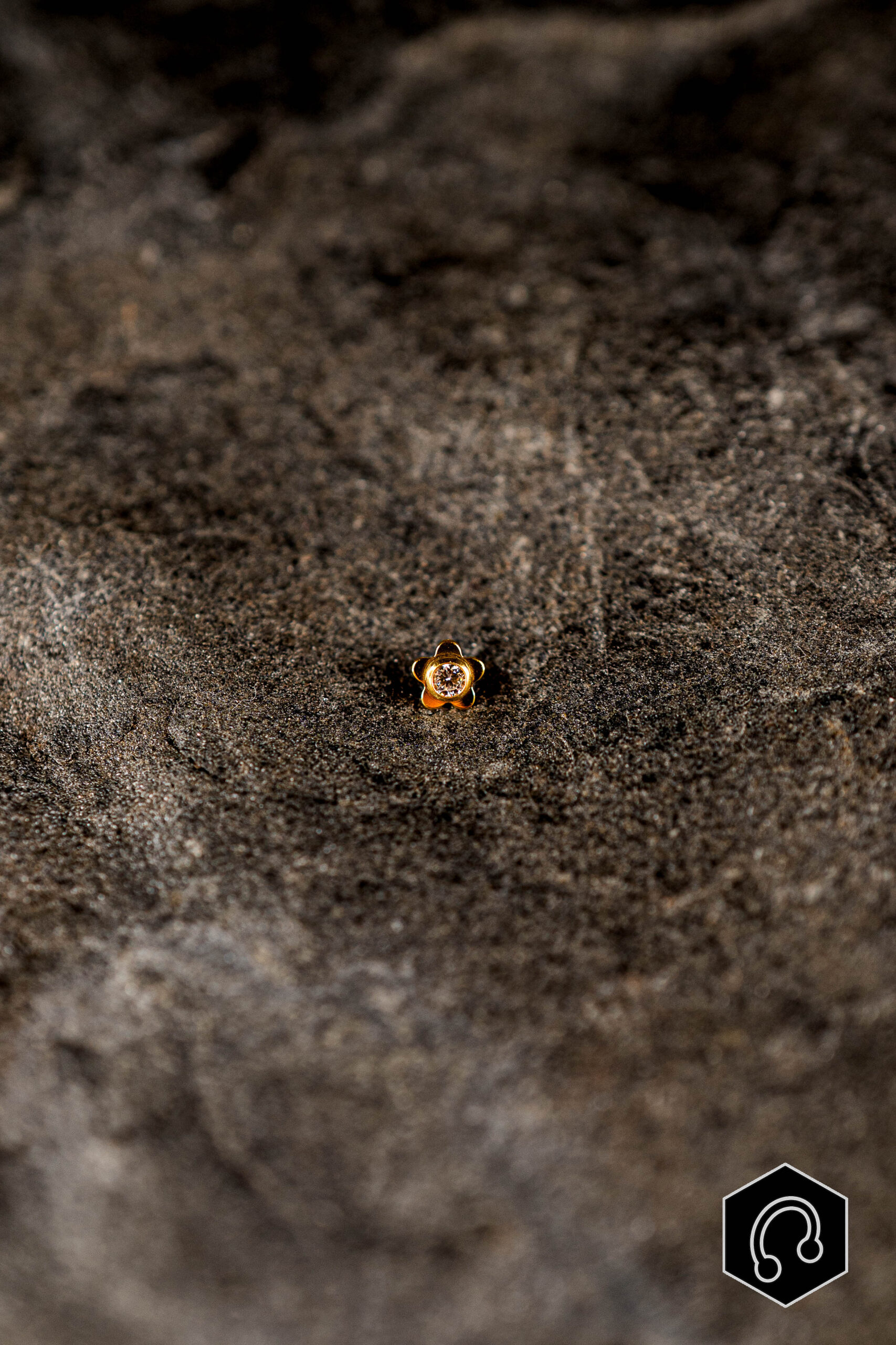 Labret titane doré Daisy