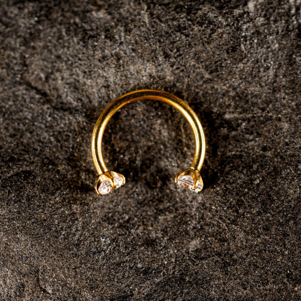 Fer à Cheval Titane Doré Elenya Duo