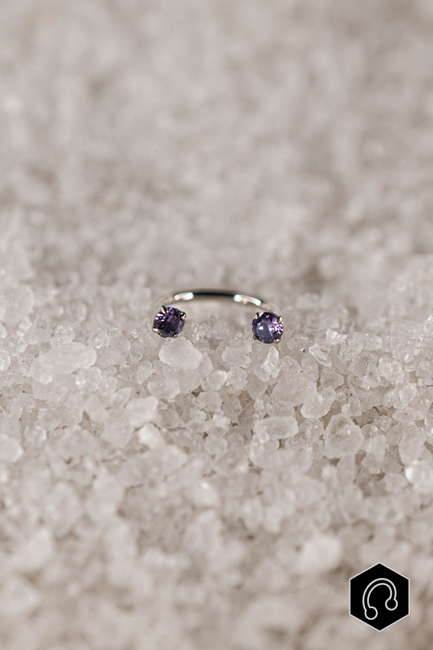 Fer à Cheval Titane Violet Elenya Duo