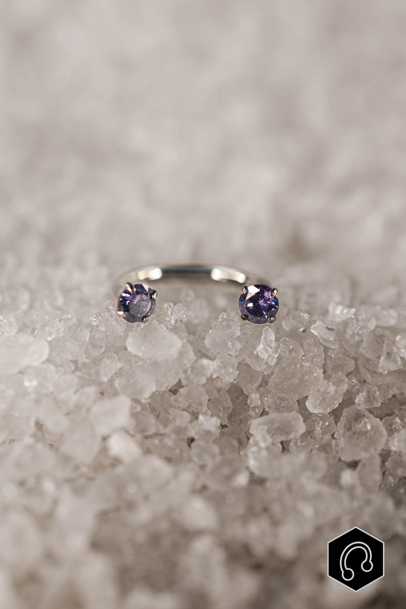 Fer à Cheval Titane Violet Elenya Duo