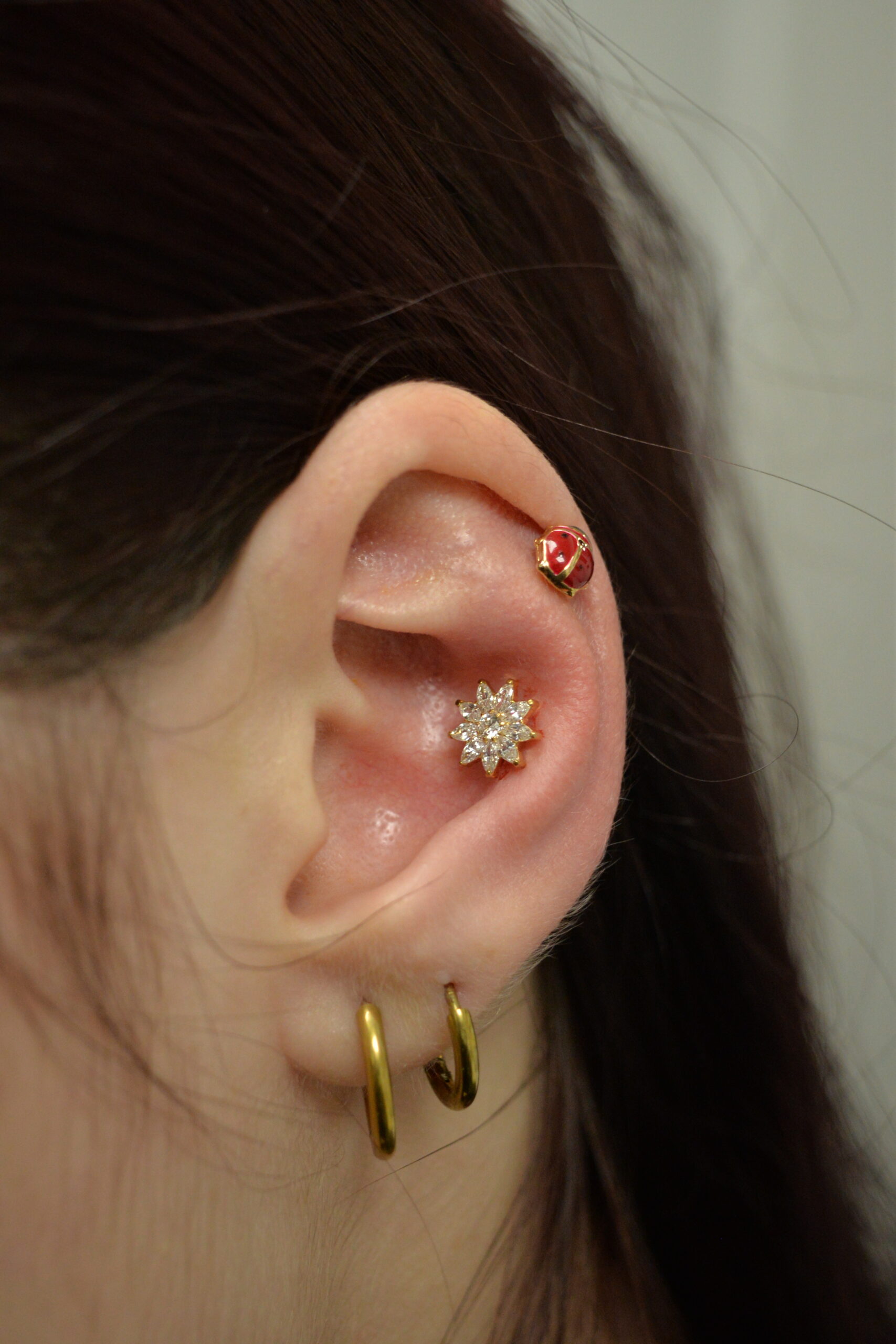 Labret Titane Doré Solaris Bloom