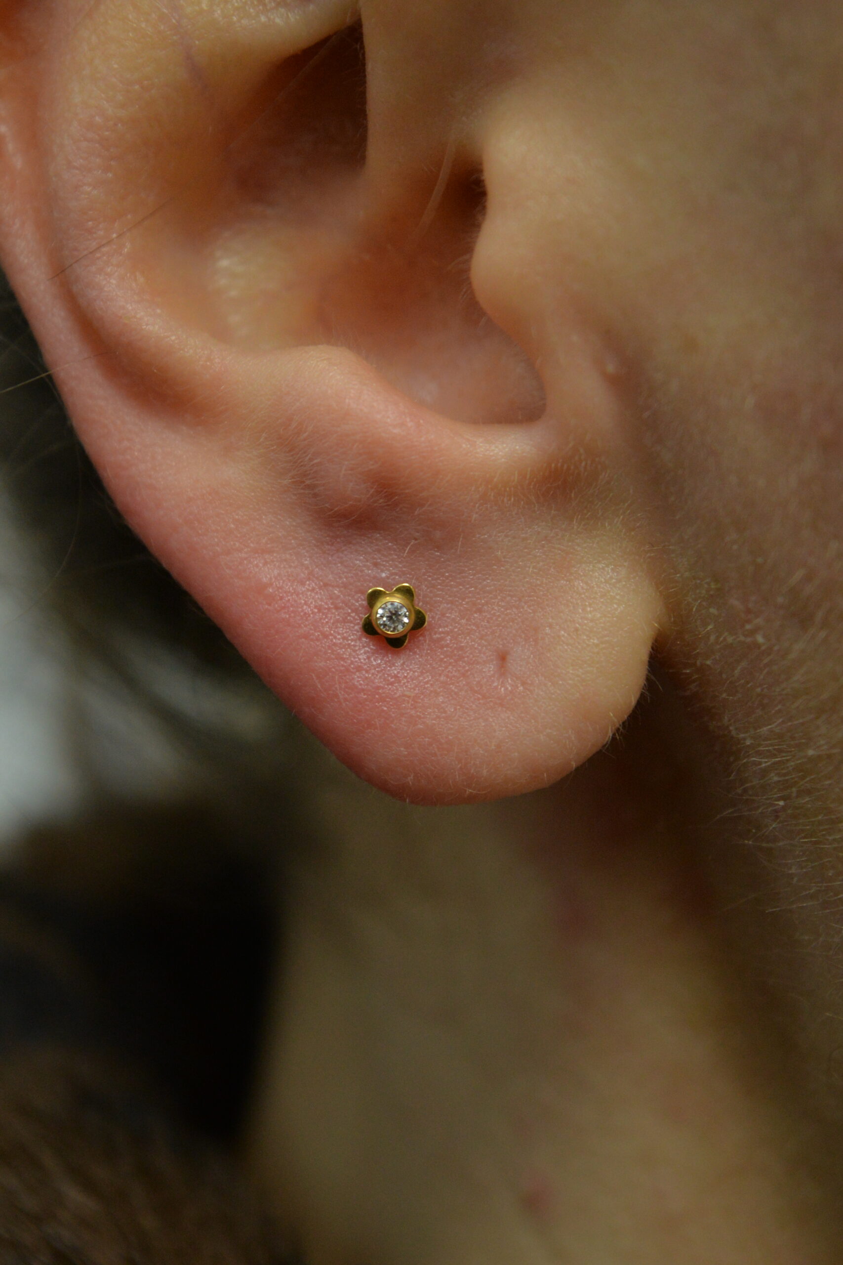 Labret Titane Doré Daisy