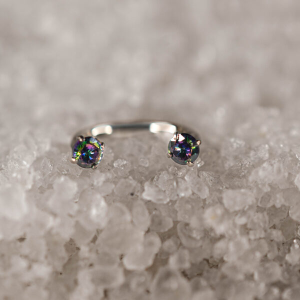 Fer à Cheval Titane Vitrail Elenya Duo