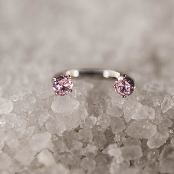 Fer à Cheval Titane Rose Elenya Duo