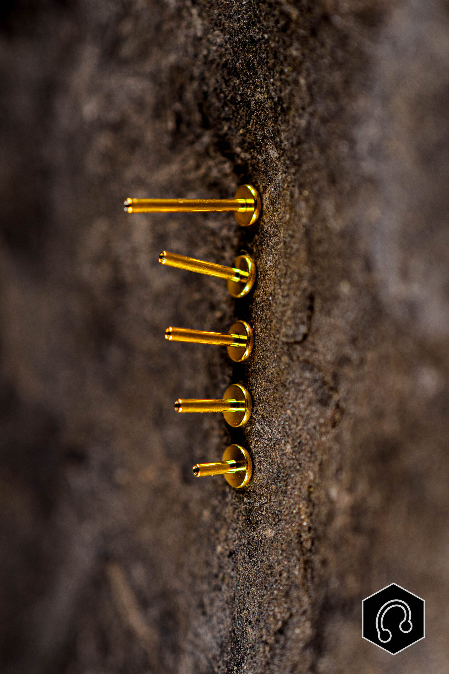 Labret Titane Doré Tige Seule