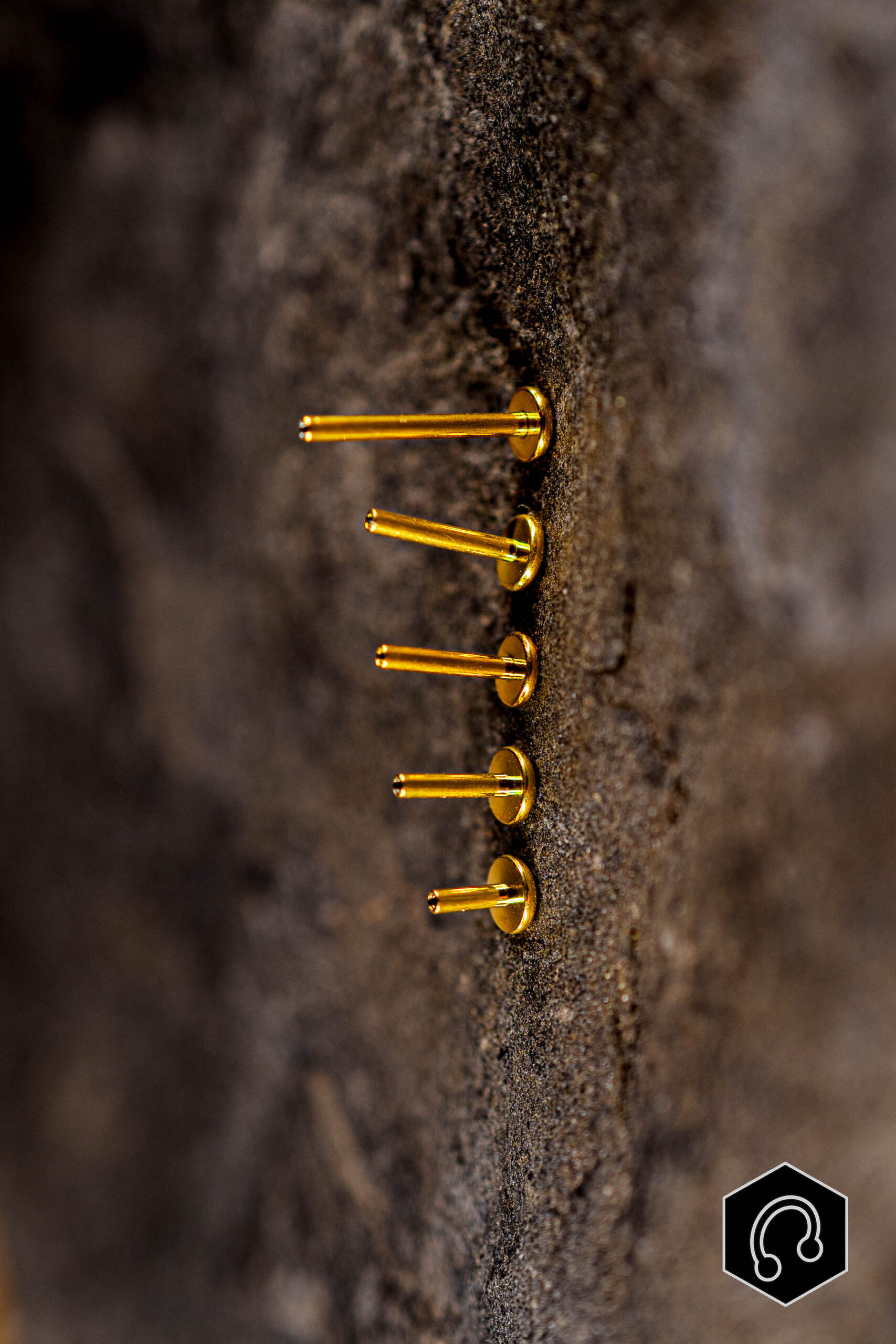 Labret Titane Doré Tige Seule