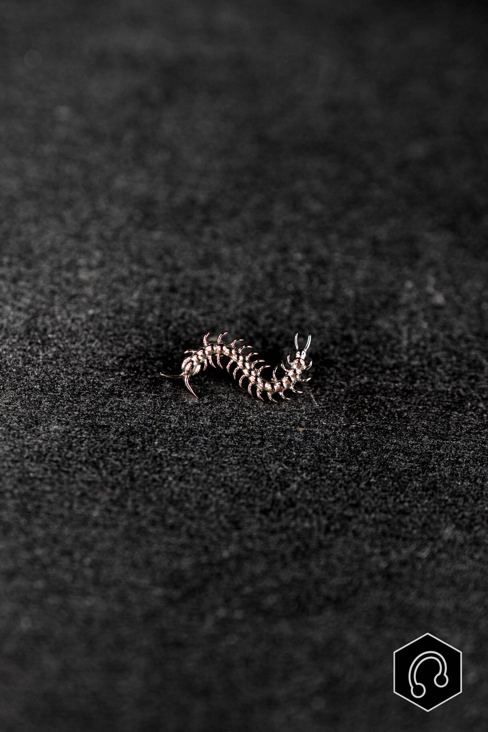 Labret Titane Argenté Centipede