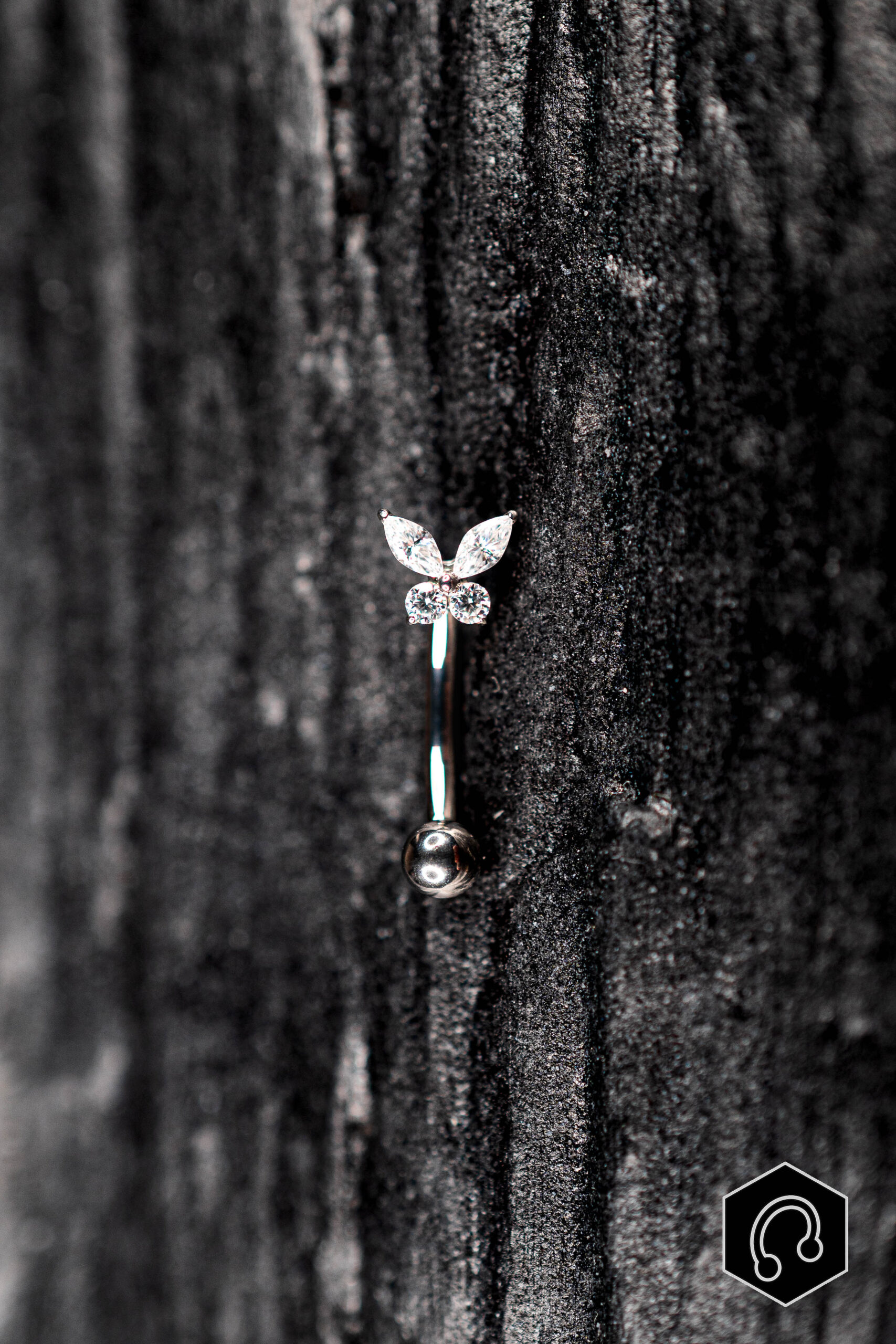 Banane Titane Rook Butterfly